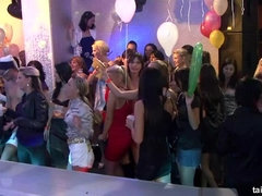 Vestidas, Club, Polla, Pajear, Sexo duro, Pantaletas, Medias largas, Mojado