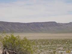 Kont, Hondjeshouding, Likken, Doordringend, Gezichtspunt, Kut duiken, Kort haar, Billekoek