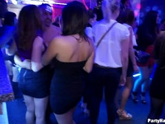 Grosser schwanz, Bekleidet, Verrückt, Tanzen, Schwanz, Frau, Gruppe, Swingers