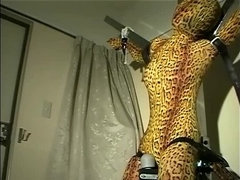 Aziatisch, Bondage discipline sadomasochisme, Pijpbeurt, Fetisj, Japaans