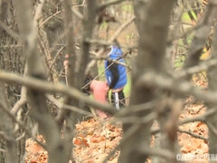 Amateur, Brunette brune, De plein air, Public, Espionne