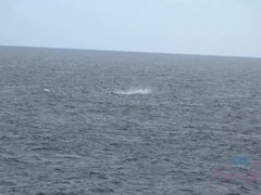 Любители, Жопа, Ботинки, Кончили внутрь, Грязь, Платье, Трусики, Носки