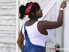 A Handywoman's Job