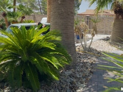 Enthousiasteling, Zwart, Auto, Europees, Gezichtspunt, Billekoek, Tieten likken, Bekijker