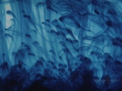 お尻, 緊縛, デカパイ, フェティッシュ, オーガズム, ゴムタイツ, オッパイの, おもちゃ