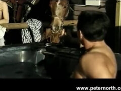 Anaal, Pijpbeurt, Bruinharig, Masturbatie, Peter north, Geschoren, Trio, Oud