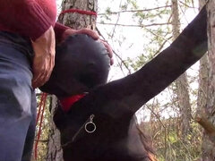 Tied To A Tree On A Sensual Outfit, Masked And Outdoor Deepthroating With No Mercy - Oral Sex