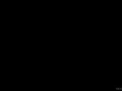 Grote lul, Grote mammen, Sperma, Hd, Interraciaal, Tepels, Tatoeage, Trio