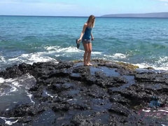 Tara takes a trip to Hawaii with you!