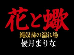 アジア人, デカパイ, ボンデージ, 巨乳な, フェティッシュ, ハードコア, 怪物, 自然山雀