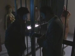 Cul, Beauté, Gorge profonde, Queue, Orgasme, Chatte, Esclave, Nénés