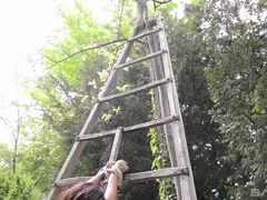 18 años, Corrida, Consolador, Extremo, Fetiche, Al aire libre, Atada, Juguetes