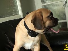 Blonde, Britannique, Cocu, Domination, Rugueux, Jupe, Nénés, Sous la jupe