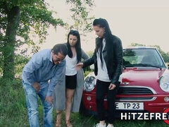 Grote kont, Pijpbeurt, Bruinharig, Hondjeshouding, Handbeurt, Geschoren, Schoenen, Tatoeage