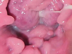 Mooie dikke vrouwen, Dik, Melk, Kut duiken