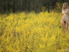 Blonde, Poilue, Mamelons, De plein air, Solo