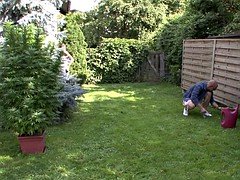 Européenne, Hard, Adolescente, Échange d'épouses