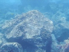 Strand, Badpak, Flashing, Buiten, Klein, Gezichtspunt, Openbaar, Tieten likken