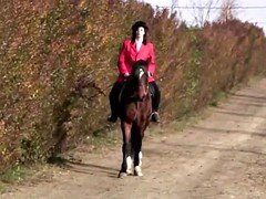 Enthousiasteling, Gek, Rijpe lesbienne, Moeder die ik wil neuken, Monster, Speelgoed