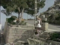 デンマーク人, ヨーロピアン, ハードコア, 三人, ヴィンテージ