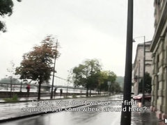 Ungarisch, Öffentlich