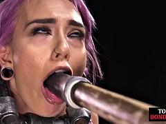 Amateur, Bondage domination sadisme masochisme, Bondage, Bâillonner, Fessée