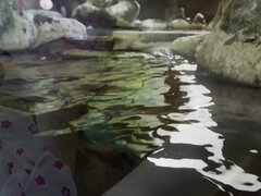 Жопа, Большая жопа, Большие сиськи, Грудастые, Эротика, Забавное, Милф, Сиськи