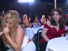 Grosser arsch, Grosse titten, Schwanz, Gruppe, Handjob, Interrassisch, Orgie, Party