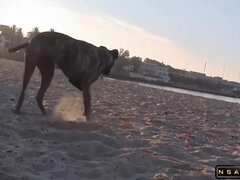 Красотки, Большие сиськи, Минет, Брюнетки, Натуральные сиськи, На природе, От первого лица, Между сисек