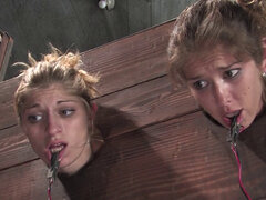 Bondage domination sadisme masochisme, Gros seins, Lesbienne, Douleur, Criant, Plan cul à trois, Attachée