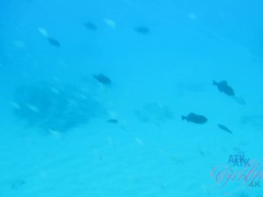 Amateur, Cul, Petite amie, Pov, Chatte, Rasée, Maigrichonne, Nénés