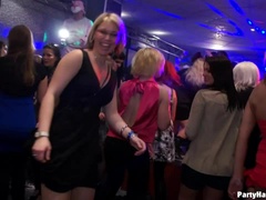 Leie, Schwarz, Braunhaarige, Cfnm, Hundestellung, Hardcore, Interrassisch, Swingers