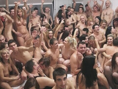 Blasen, Braunhaarige, Hundestellung, Gruppe, Natürlichen titten, Orgie, Jungendliche (18+), Titten