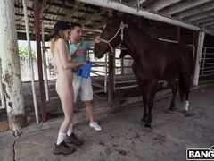 Kristy May: Handjob Master with Big Dick Stallion