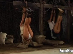 18 jaar, Gebondenheid, Fetisj, Hd, Lesbisch, Meesteres, Slaaf, Vastgebonden