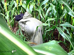 イく瞬間, デンマーク人, 手コキする, ゴム, 乳首, アウトドア, 公共, ティーン