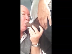 Compilation full of scenes with experienced gays