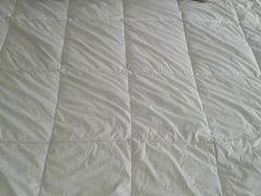 Arse Nuts and Uncircumcised Man-Meat