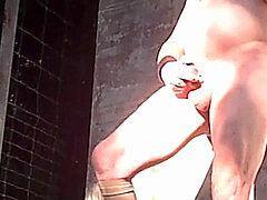 senior fellow New-Wikland-Shorts