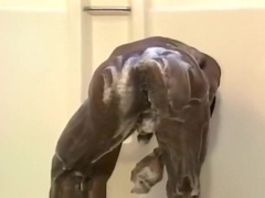 Athletic Black Studs Wrestling Naked