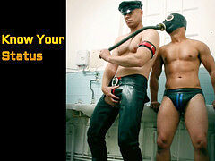 Gay training, gay, pupfenni