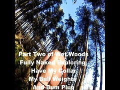 Part 2 Wet Woods