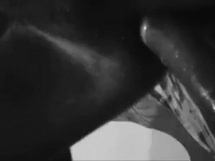 Massive Sri Lankan Cock 5