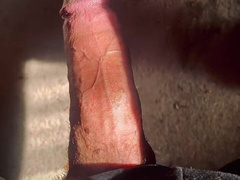 Monster Jizz-shotgun and Mammories Self Melon Poke Compilation