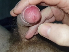 Crimson Super-Steamy Femboy Taunts and Torments her Wood with Girly Lengthy Humps