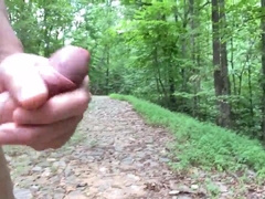 On the trail with the beasts