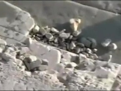 Watching gay threesome on nude beach