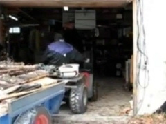 Silver Fox Strokes Wood at the Sawmill