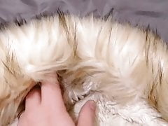 Miss Selfridge Khaki Luxe Fur Hood Parka - Wank Video