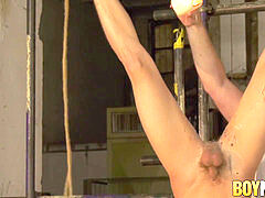 elder pervert Sebastian Kane enjoys torturing another lad